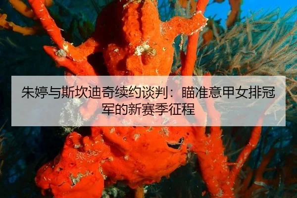 朱婷与斯坎迪奇续约谈判：瞄准意甲女排冠军的新赛季征程