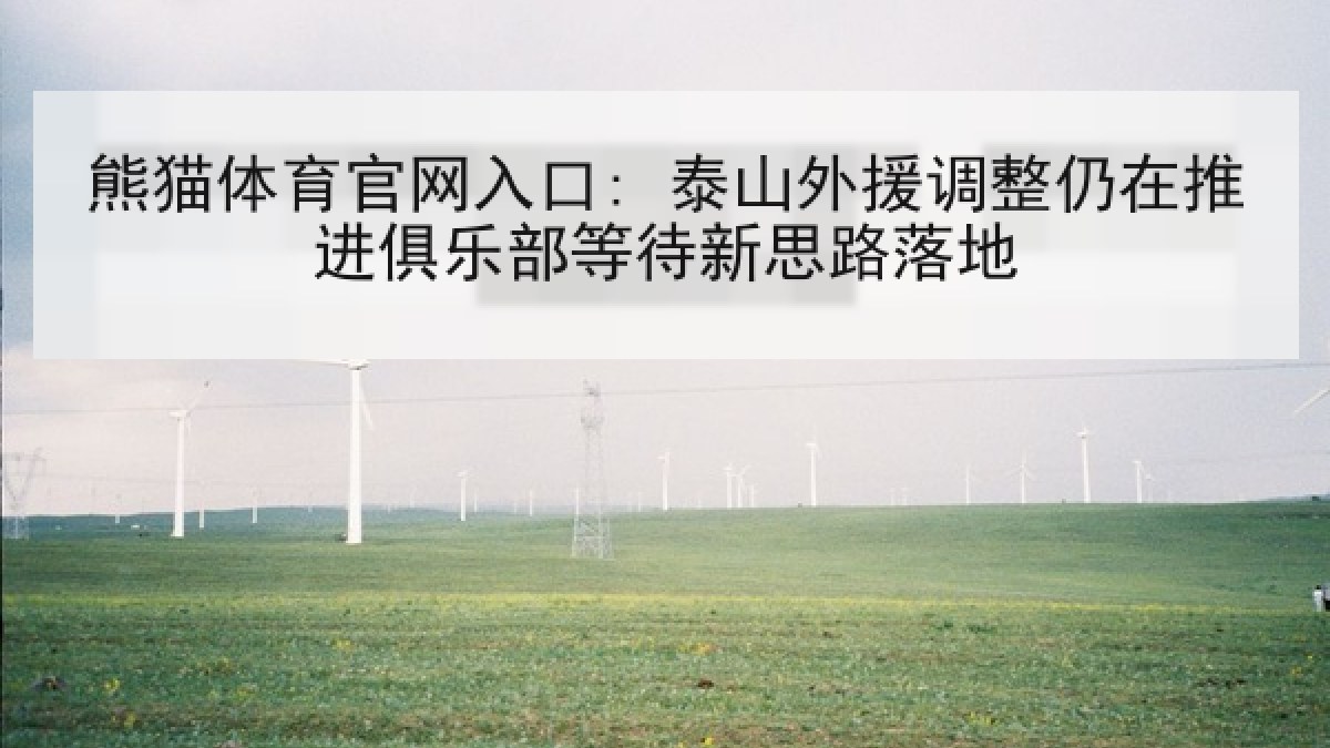 熊猫体育官网入口: 泰山外援调整仍在推进俱乐部等待新思路落地