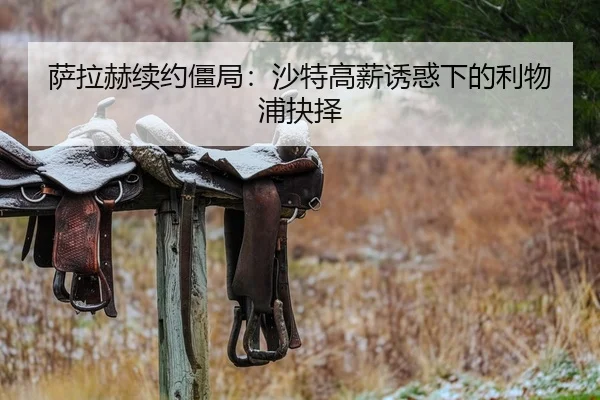 萨拉赫续约僵局：沙特高薪诱惑下的利物浦抉择