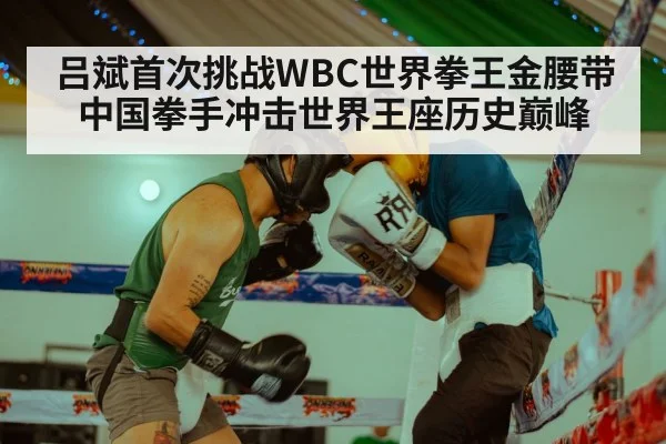 吕斌首次挑战WBC世界拳王金腰带中国拳手冲击世界王座历史巅峰